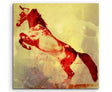 full_Horse_on_Hind_Legs_60x60cm_FRONT_1280x1280.jpg