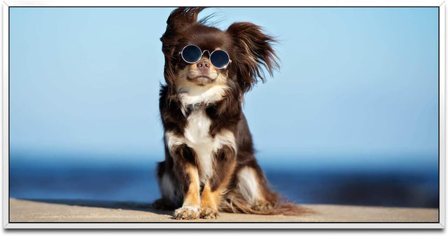 Hund mit Sonnenbrille ca. 130x70cm Wandbild inklusive Schattenfugenrahmen weiss - Panorama Leinwand Bild XXL Format Wandbilder Wohnzimmer Wohnung Deko Kunstdrucke