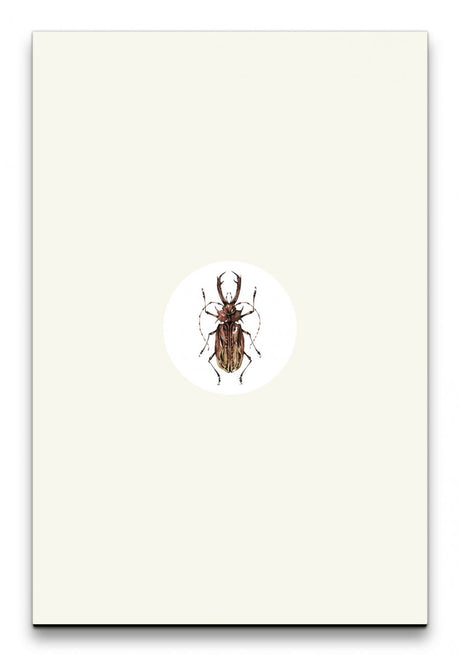 Insekten_026_1280x1280.jpg