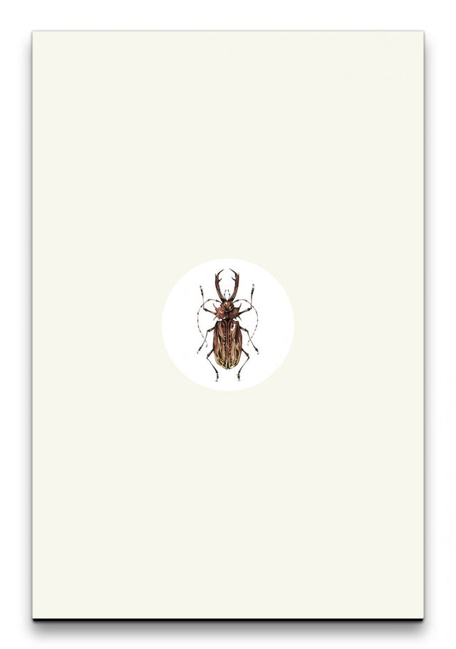 Insekten_026_1280x1280.jpg