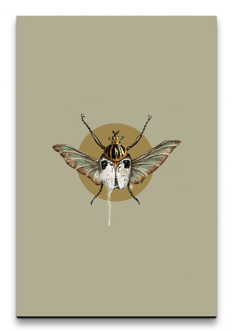 Insekten_006_1280x1280.jpg