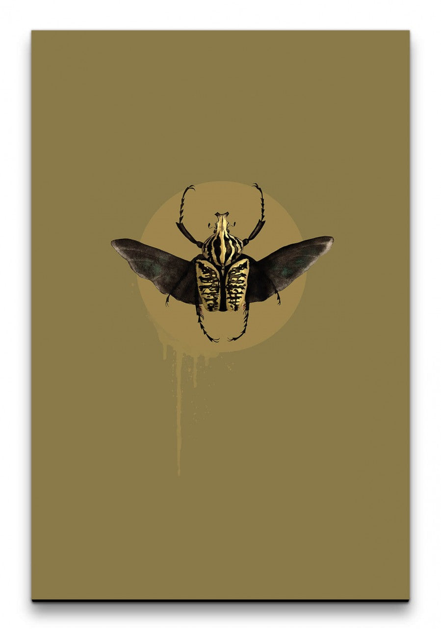 Insekten_001_1280x1280.jpg