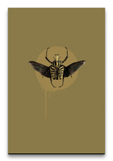 Insekten_001_1280x1280.jpg