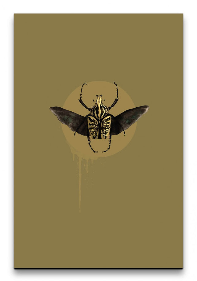 Insekten_001_1280x1280.jpg