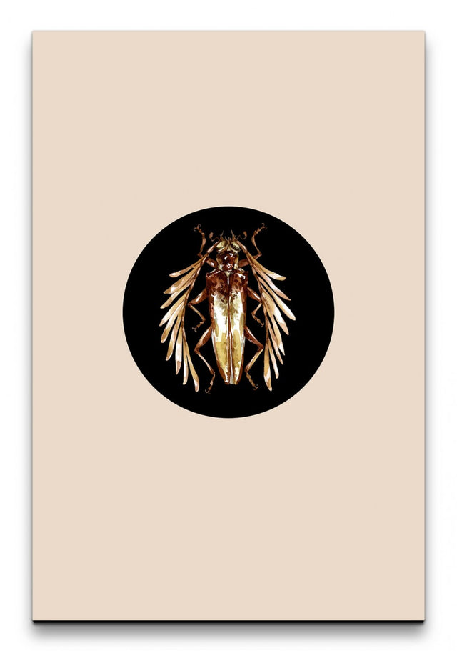 Insekten_044_1280x1280.jpg