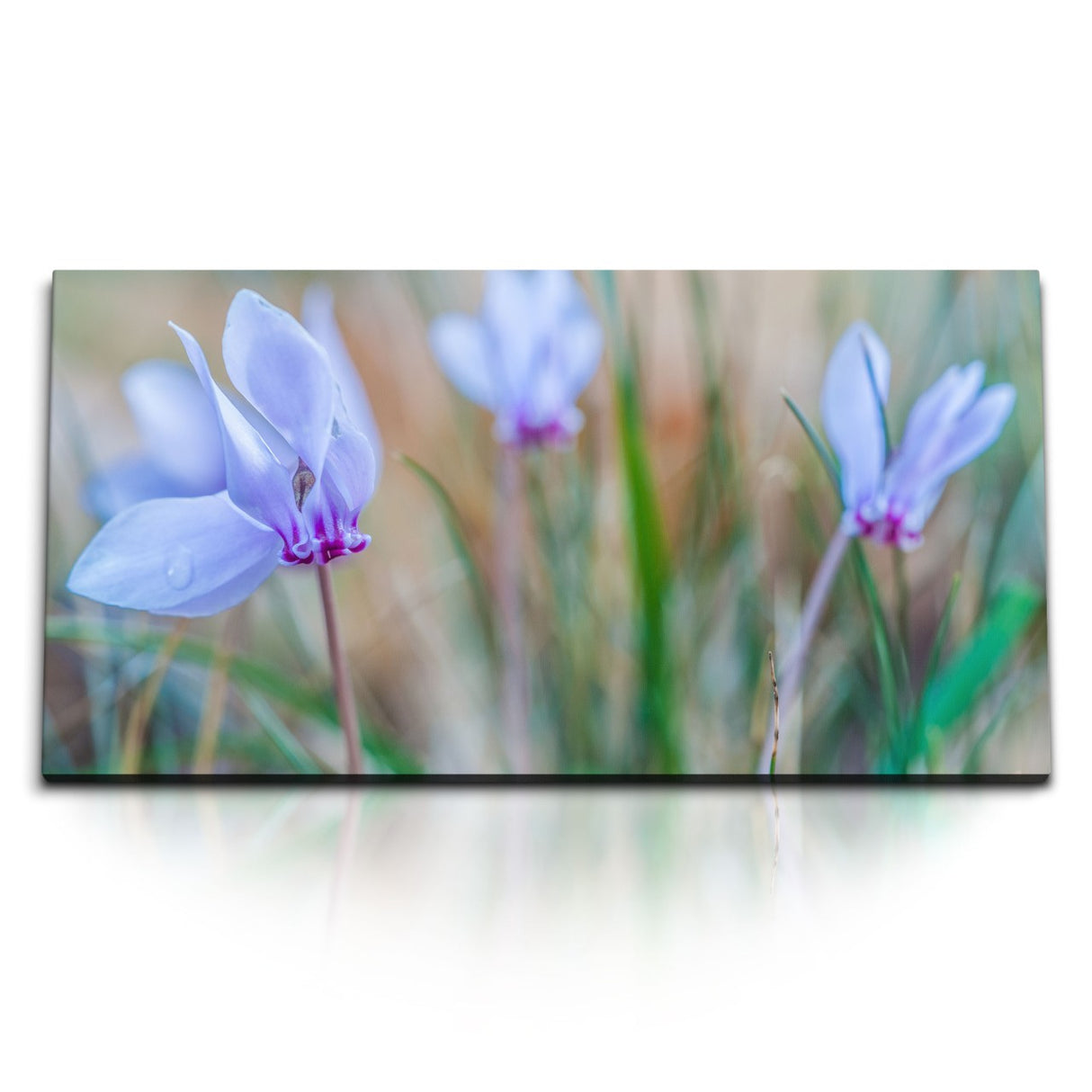 STOCKS_2388_1280x1280.jpg
