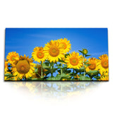 STOCKS_0868_1280x1280.jpg