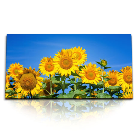 STOCKS_0868_1280x1280.jpg