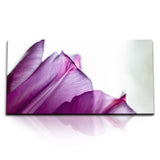 STOCKS_1385_1280x1280.jpg