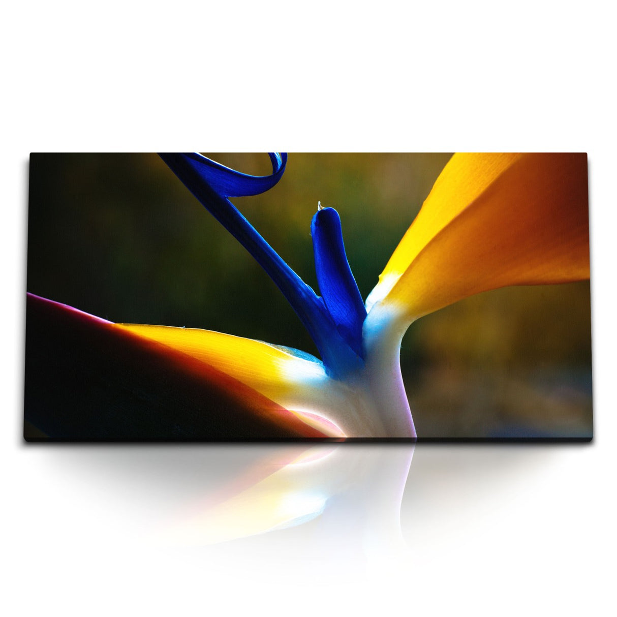 STOCKS_0512_1280x1280.jpg