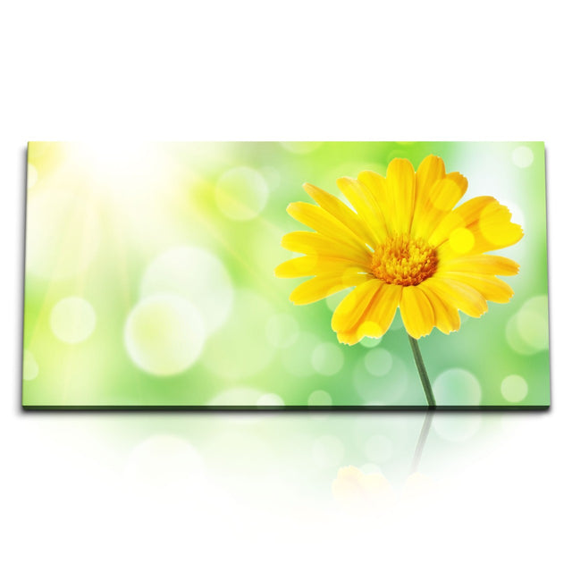 STOCKS_0219_1280x1280.jpg