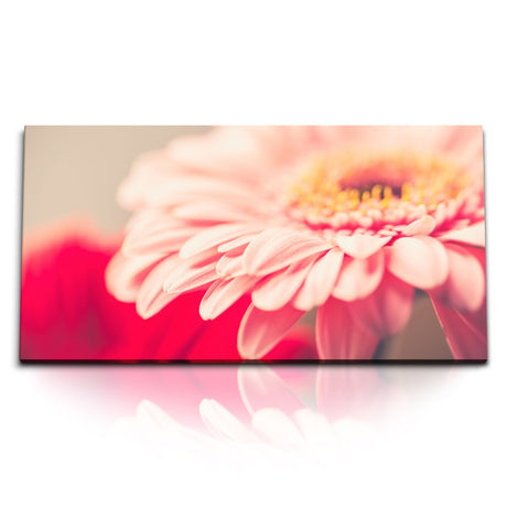 STOCKS_1646_1280x1280.jpg