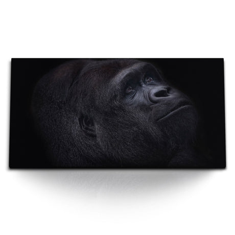 STOCKS_2142_1280x1280.jpg