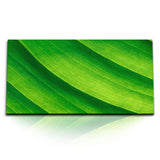 STOCKS_1859_1280x1280.jpg
