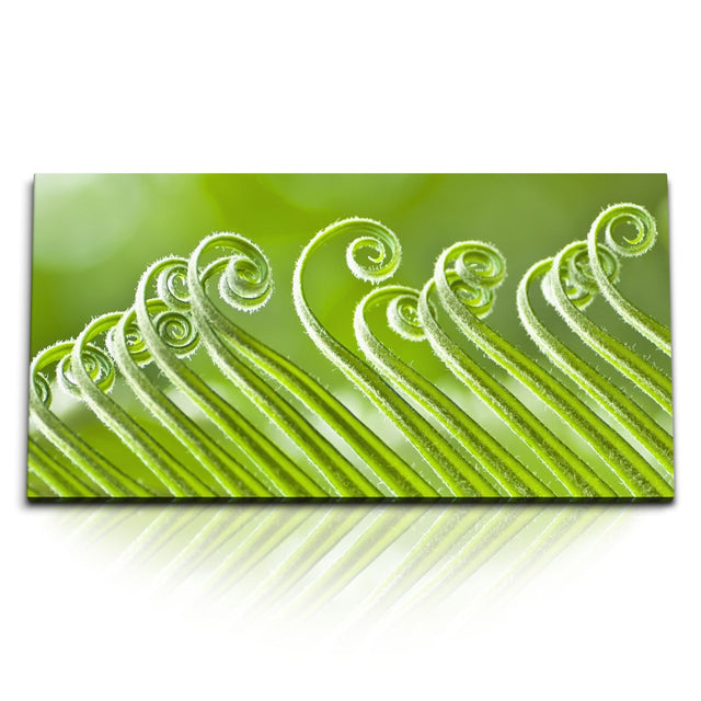 STOCKS_0862_1280x1280.jpg
