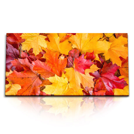 STOCKS_1269_1280x1280.jpg