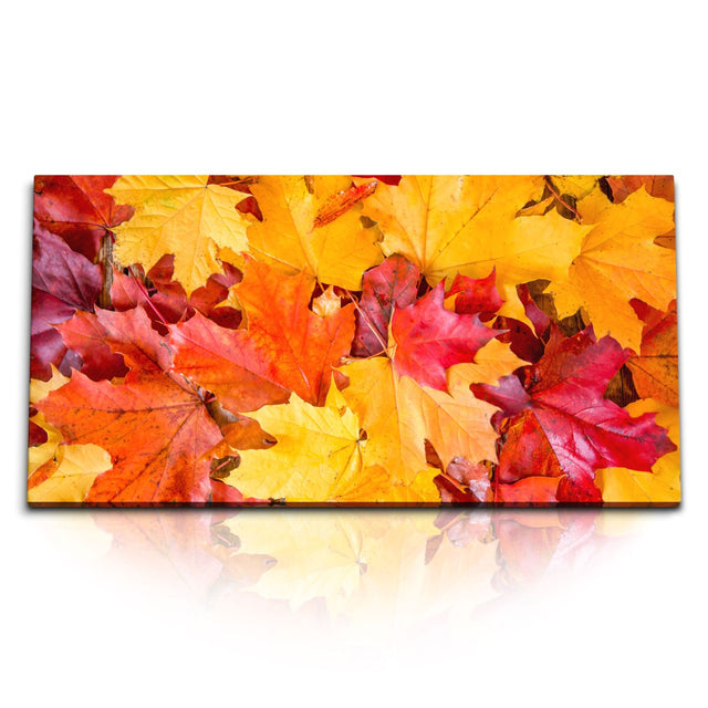 STOCKS_1269_1280x1280.jpg