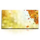 STOCKS_0995_1280x1280.jpg