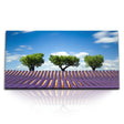 STOCKS_0441_1280x1280.jpg