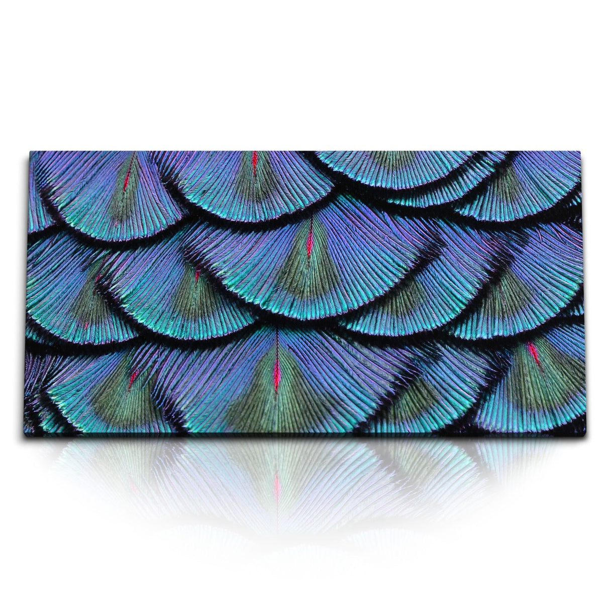 STOCKS_1644_1280x1280.jpg