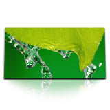 STOCKS_1478_1280x1280.jpg