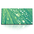 STOCKS_2295_1280x1280.jpg