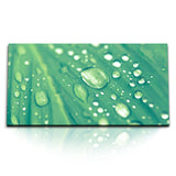 STOCKS_2295_1280x1280.jpg