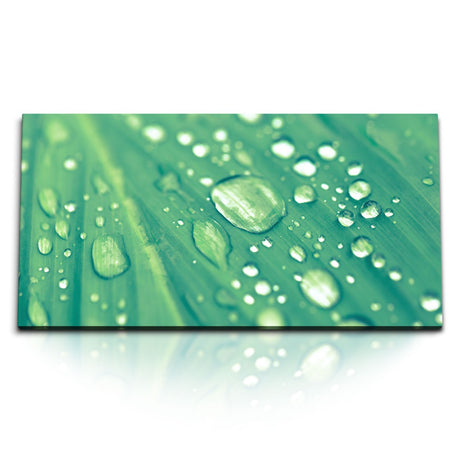 STOCKS_2295_1280x1280.jpg