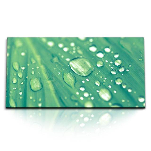 STOCKS_2295_1280x1280.jpg