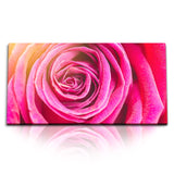 STOCKS_2097_1280x1280.jpg
