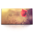 STOCKS_0790_1280x1280.jpg