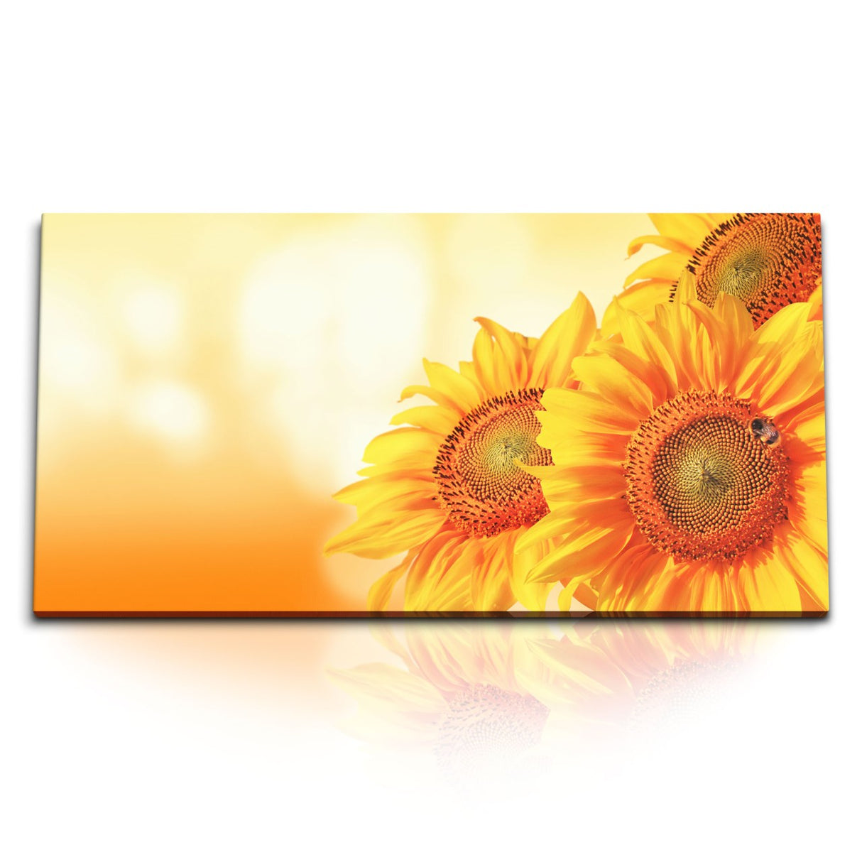 STOCKS_1391_1280x1280.jpg