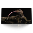 STOCKS_2037_1280x1280.jpg