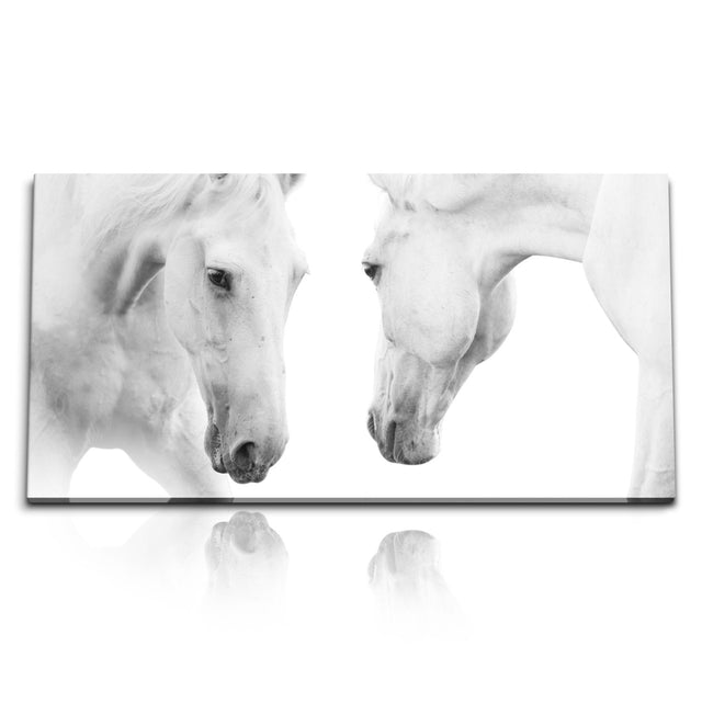 STOCKS_0232_1280x1280.jpg
