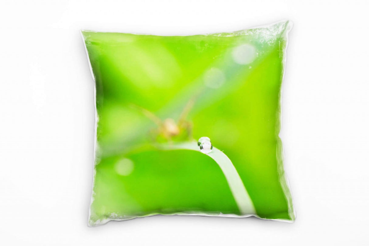 147875693IUJpq7GT2ClgE_1280x1280.jpg