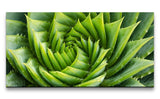 shutterstock_719652712_1280x1280.jpg