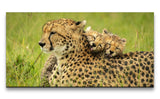 shutterstock_1981849286_1280x1280.jpg