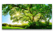 shutterstock_474495670_1280x1280.jpg