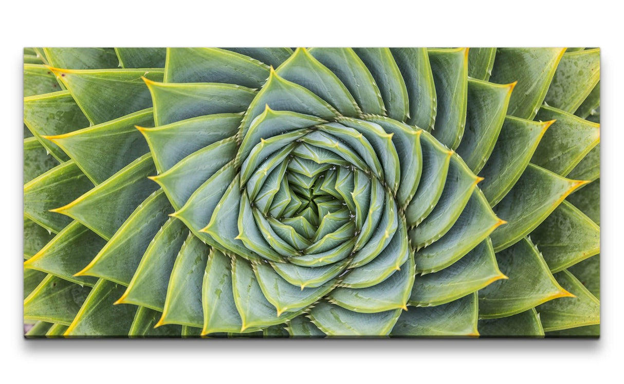 shutterstock_567985732_1280x1280.jpg