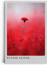 Paul Sinus Leinwandbild 60x90cm Stand Alone – Blume, Natur, Rot, Leidenschaft, Einsamkeit, Schönheit, Minimalismus, Kunst, Fotografie, Eleganz