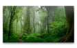 shutterstock_1254588805_1280x1280.jpg