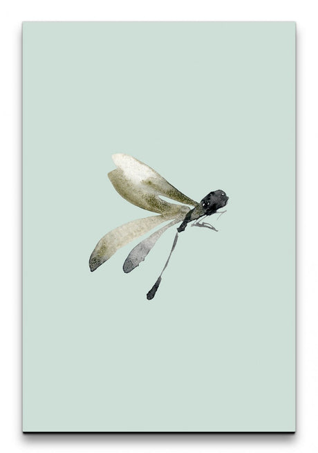 Insekten_002_1280x1280.jpg