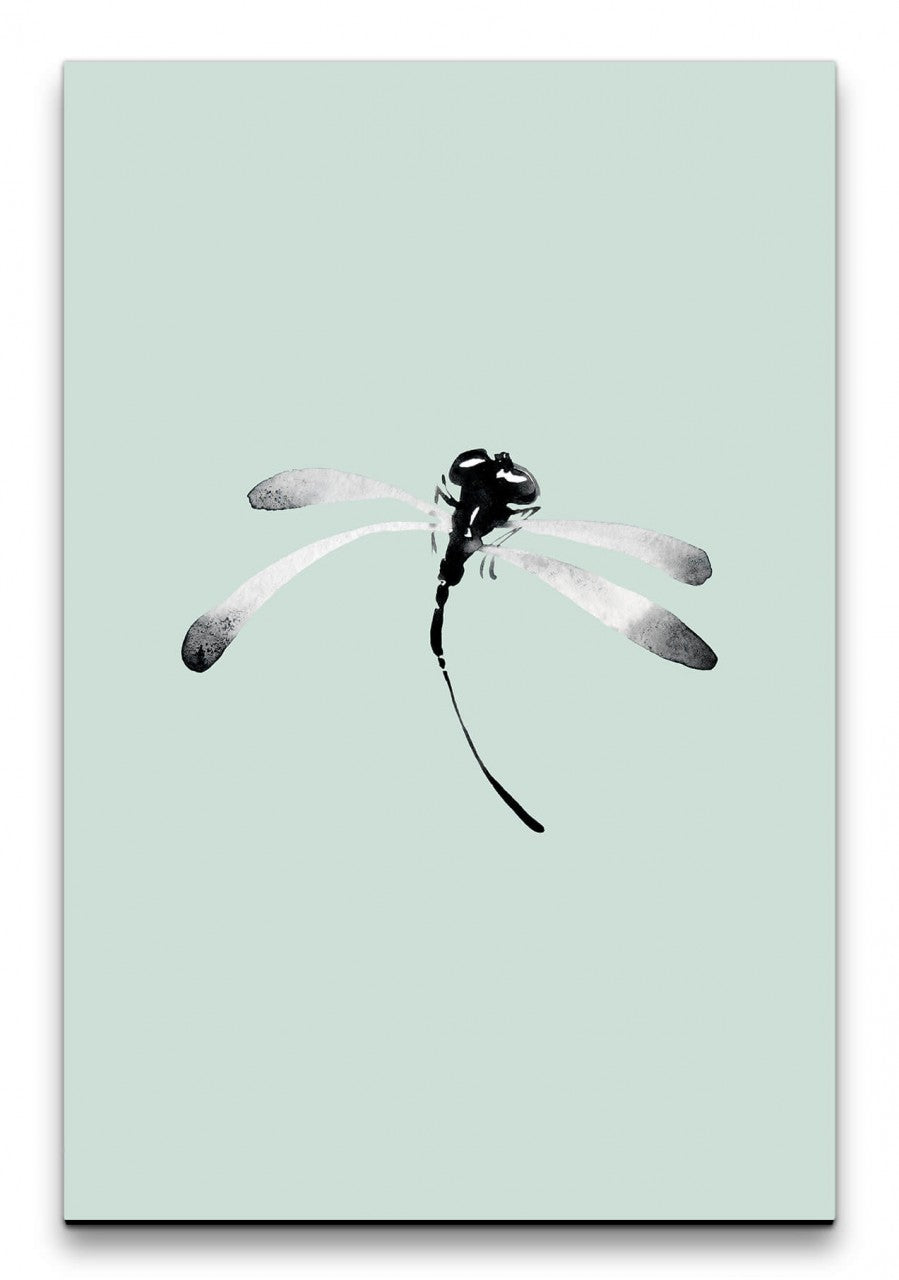 Insekten_005_1280x1280.jpg