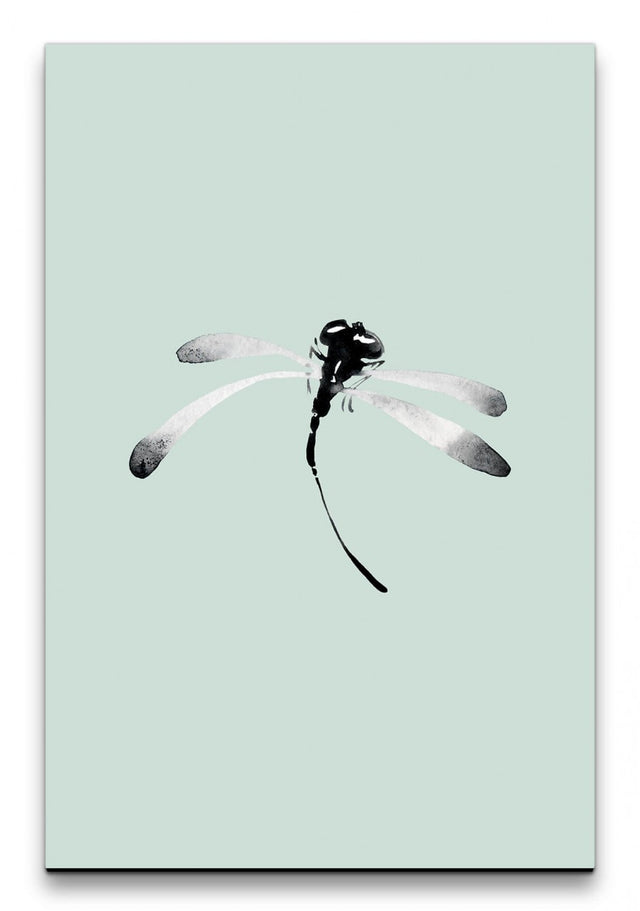Insekten_005_1280x1280.jpg