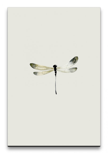Insekten_028_1280x1280.jpg