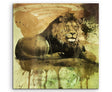 full_Lion_60x60cm_FRONT_1280x1280.jpg