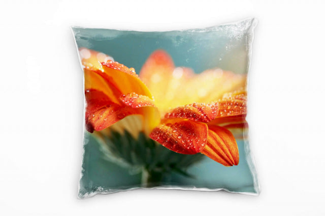 335603663_1280x1280.jpg
