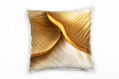 529803205_1280x1280.jpg