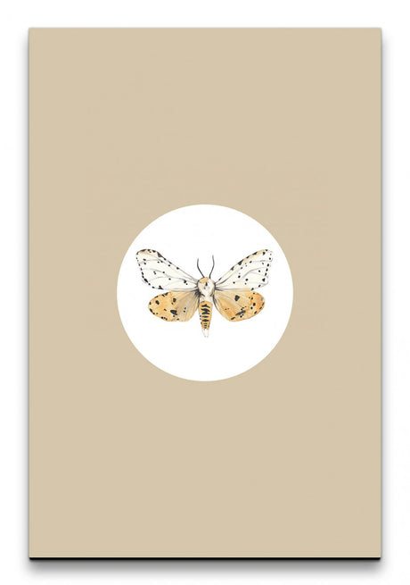 Insekten_004_1280x1280.jpg