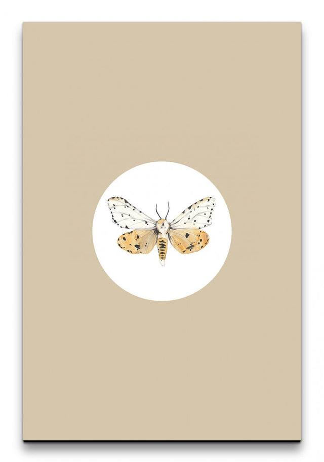 Insekten_004_1280x1280.jpg